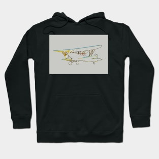 Flying Free Hoodie